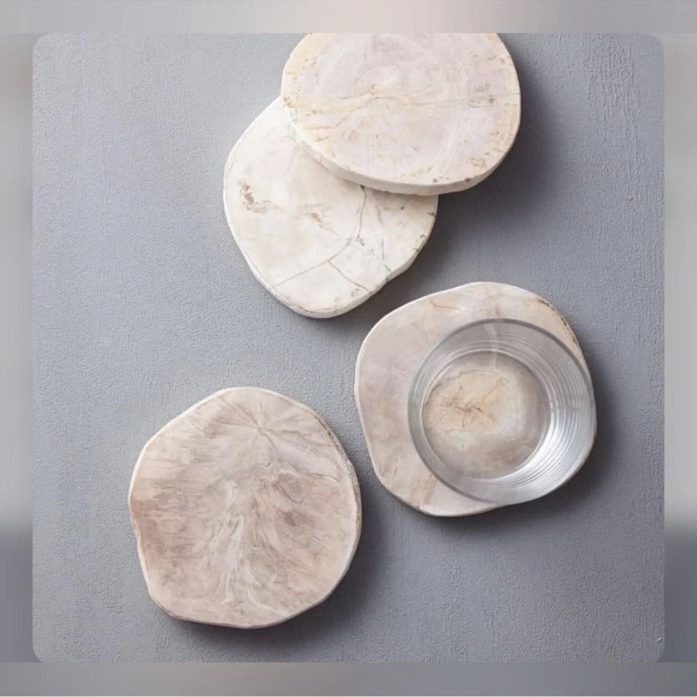 West Elm Petrified coasters set of 4